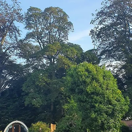 Campingplatz Priory Glamping Pods And Guest