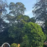 Campsite Priory Glamping Pods And Guest