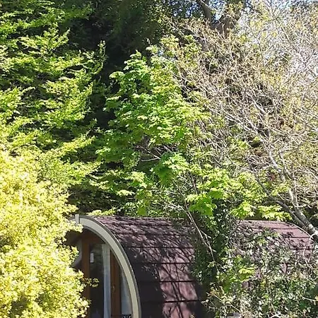 キャンプ場 Priory Glamping Pods And Guest *