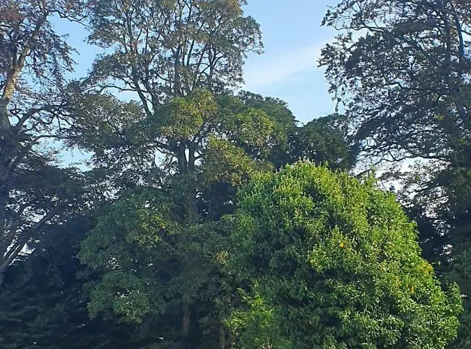 Camping Priory Glamping Pods And Guest