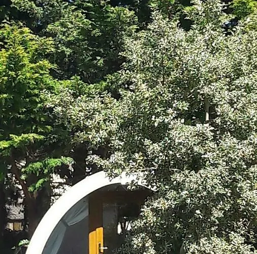 Camping Priory Glamping Pods And Guest