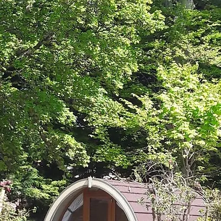 Priory Glamping Pods And Guest * Killarney